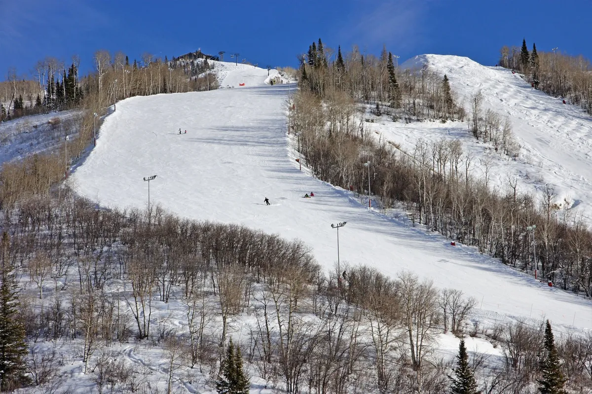Skiers traverse wide, snow-covered slopes surrounded by tall trees under a clear blue sky. The scene captures the excitement of skiing and snowboarding with expansive views of the mountain, showcasing the area’s scale and beauty.